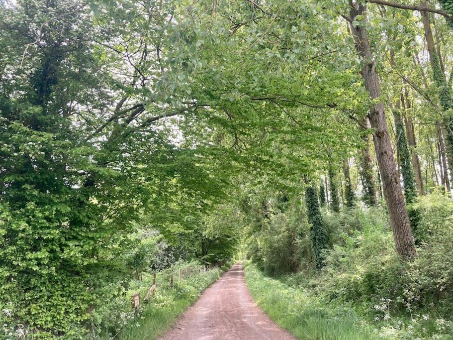 Au Bois D'Epenin - Gite Et Spa Beugin Bagian luar foto