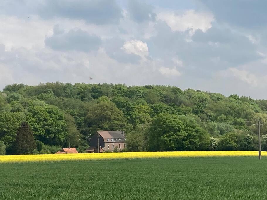 Au Bois D'Epenin - Gite Et Spa Beugin Bagian luar foto
